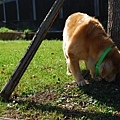 DSC_0047.JPG