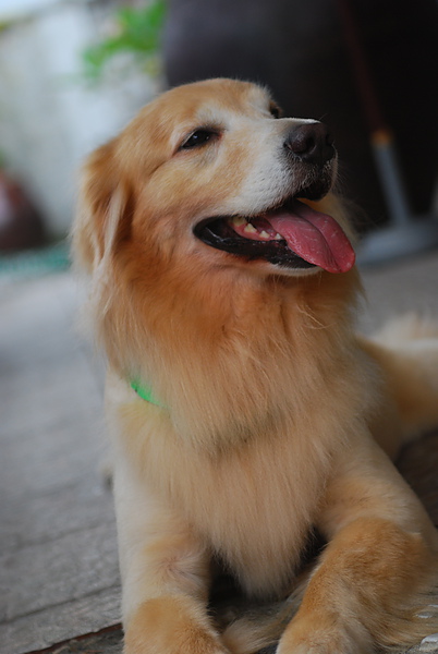 DSC_0414.JPG