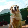 DSC_0112.JPG