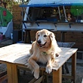 DSC_0115.JPG