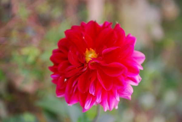 DSC_0054.JPG