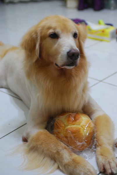 DSC_0002.JPG