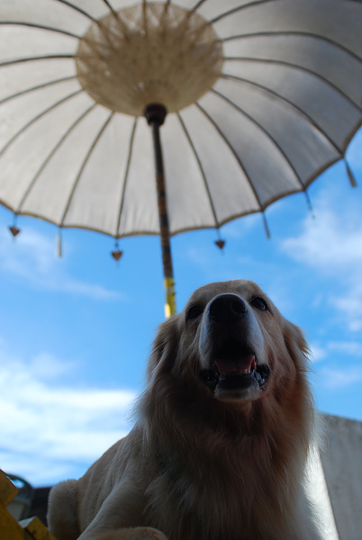 DSC_0059.JPG