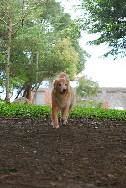 DSC_0007.JPG
