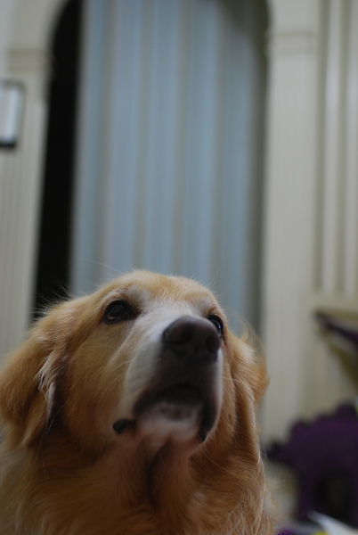 DSC_0003.JPG