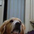 DSC_0003.JPG