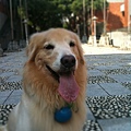 IMG_0672.JPG