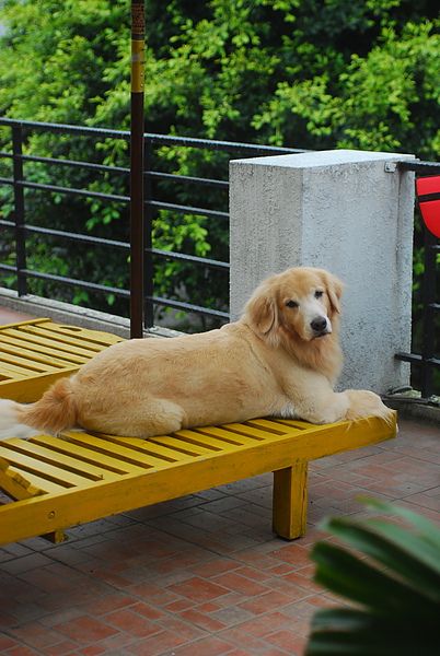 DSC_0368.JPG