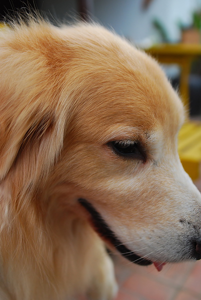 DSC_0384.JPG