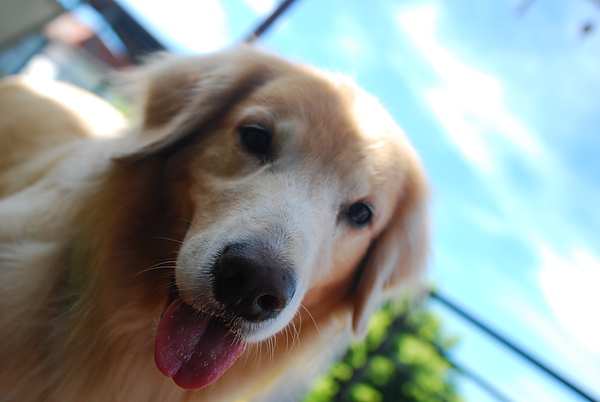 DSC_0072.JPG