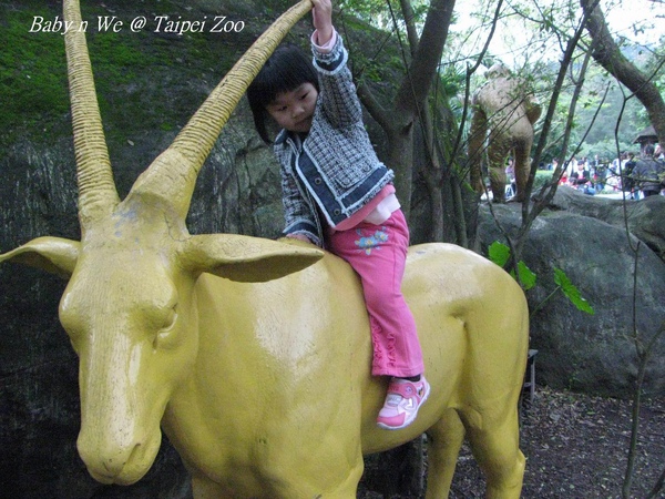 Baby n We @ Taipei Zoo