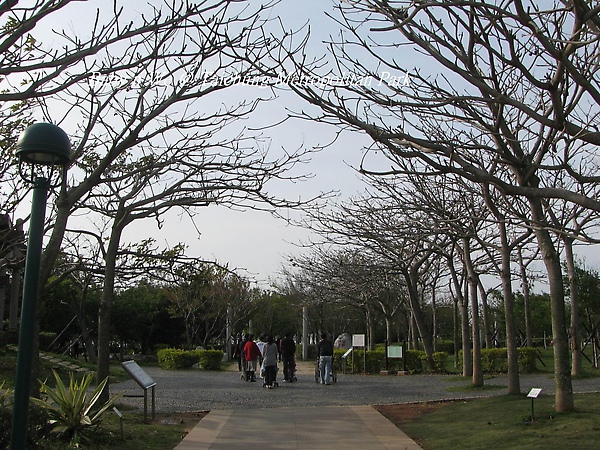 Baby n We @ Taichung Metropolitan Park