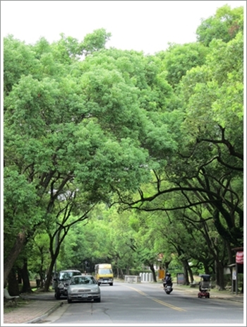 原來南投這麼近・中興新村 原來南投這麼近・中興新村