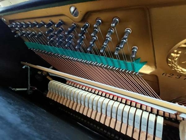 1674085917-1456491885-g_n.jpg 1674085917-1456491885-g_n.jpg