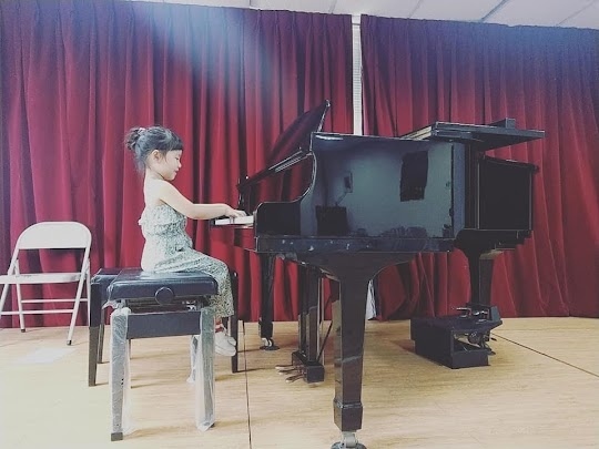 無泡水火災琴; 無蟲蛀鼠害琴; 無廠牌機種序號變造琴; 保證