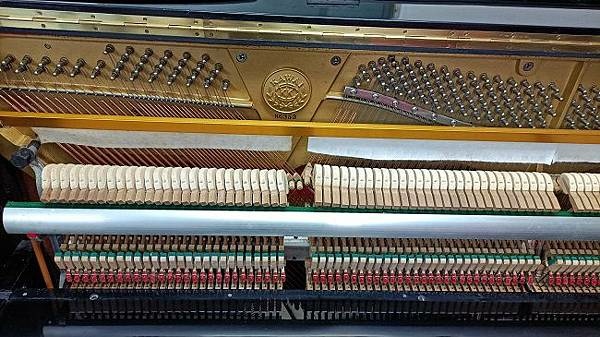 無泡水火災琴; 無蟲蛀鼠害琴; 無廠牌機種序號變造琴; 保證