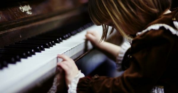 無泡水火災琴; 無蟲蛀鼠害琴; 無廠牌機種序號變造琴; 保證