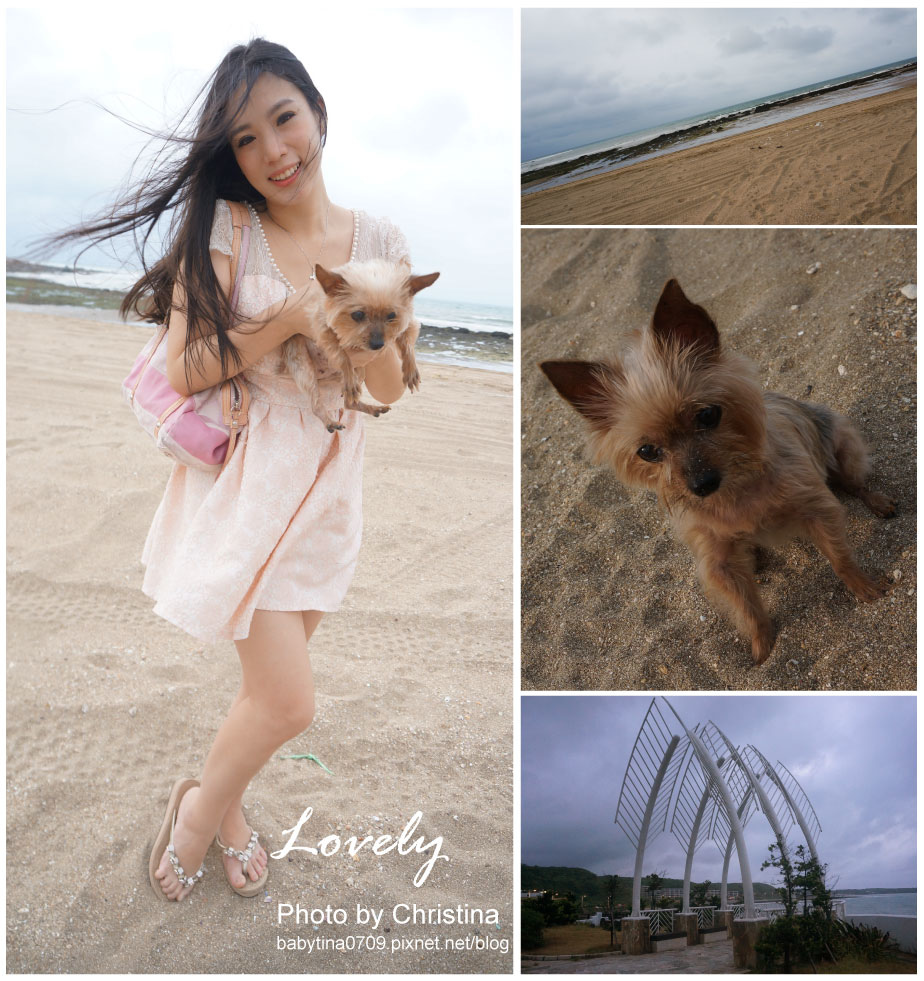 ♥北海岸半日遊♥球球的潮間帶探險記~北海岸白沙灣