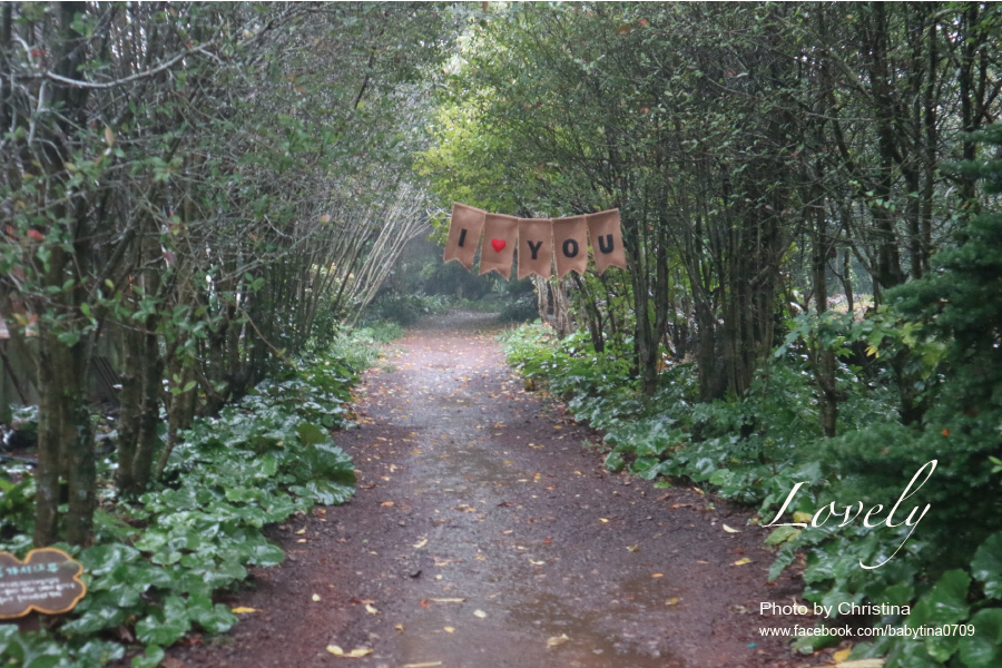 山茶花園