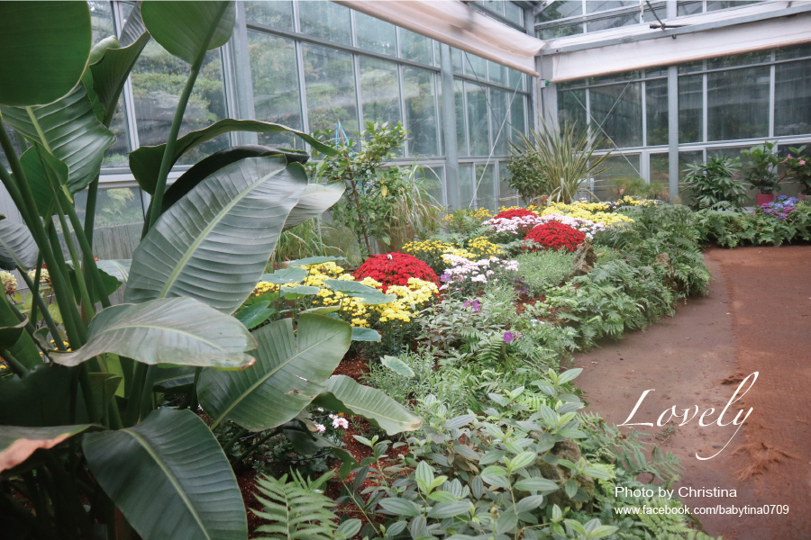 山茶花園