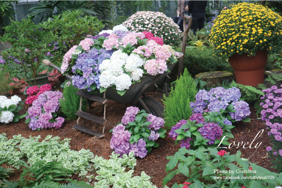 山茶花園