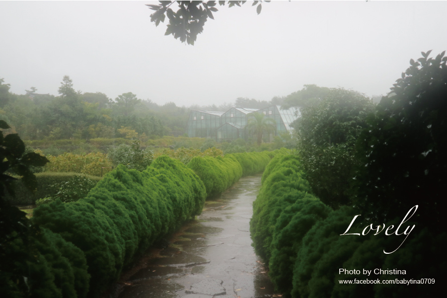 山茶花園