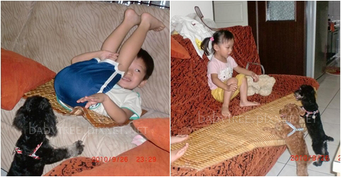 小孩與小狗.jpg 小孩與小狗.jpg