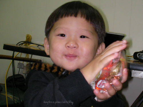 babyphoto3.jpg babyphoto3.jpg