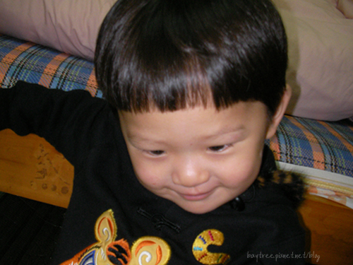 babyphoto5.jpg babyphoto5.jpg