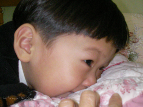 babyphoto6.jpg babyphoto6.jpg