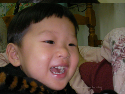babyphoto7.jpg babyphoto7.jpg