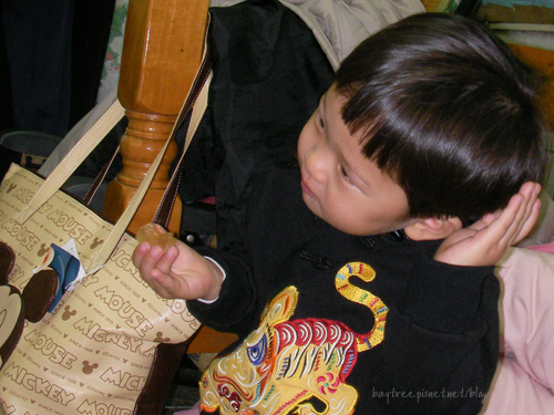 babyphoto10.jpg babyphoto10.jpg
