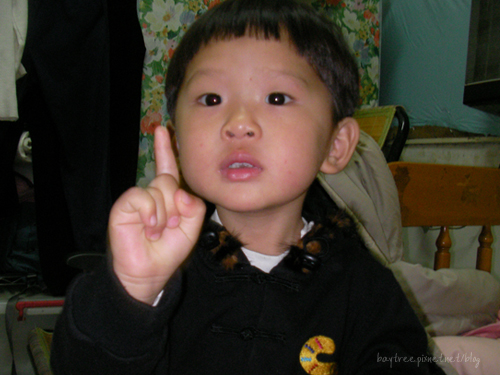 babyphoto11.jpg babyphoto11.jpg