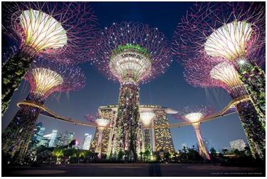 新加坡迷人夜景~~~~Supertrees1.JPG