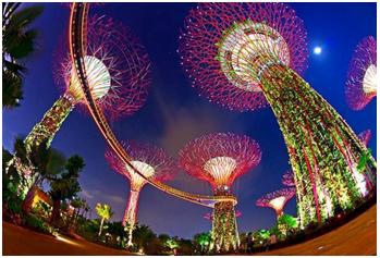 新加坡迷人夜景~~~~Supertrees2.JPG
