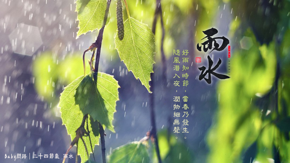 雨水 二十四節氣_01