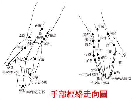 以花精情緒療法緩解胃痛之探討 李泓斌醫師 巴赫花精 上天的禮物 Bach Flower Essences 痞客邦