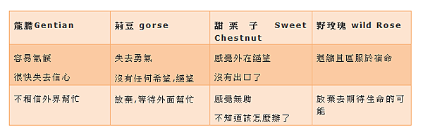 荊豆 Gorse 05