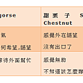 荊豆 Gorse 05