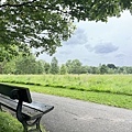 IMG_9199.JPEG