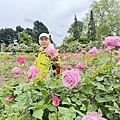 IMG_9218.JPEG