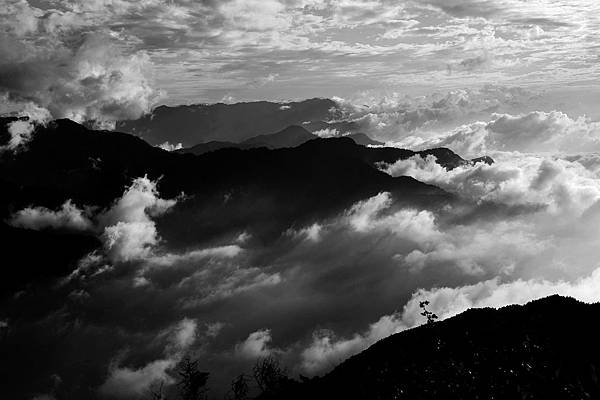 DSC_2644.jpg DSC_2644.jpg