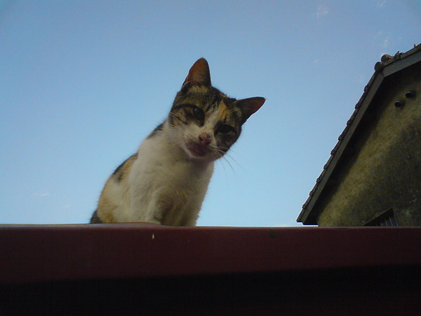DSC00367.JPG DSC00367.JPG