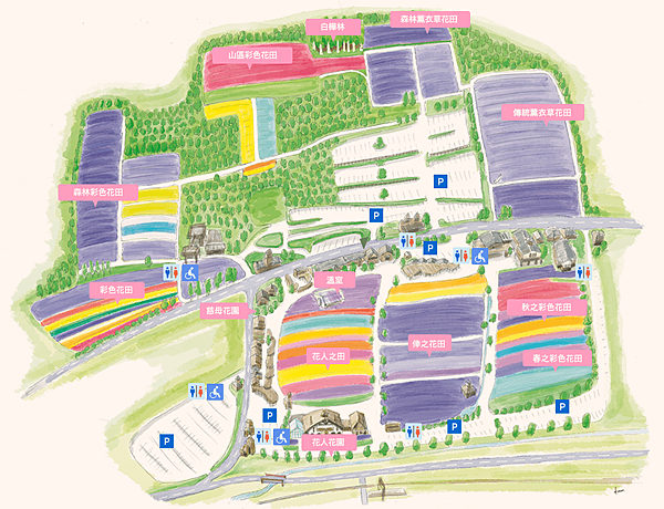 【北海道夏季自由行】富良野薰衣草+花田開花情報玩遍攻略(更新