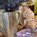 DSC03620.JPG