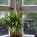DSC03621.JPG