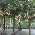 DSC03639.JPG