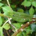 DSC03665.JPG