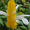 DSC03666.JPG