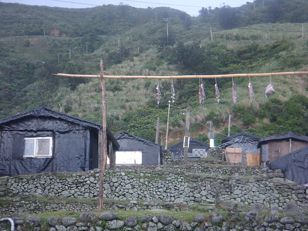 DSC06798.JPG